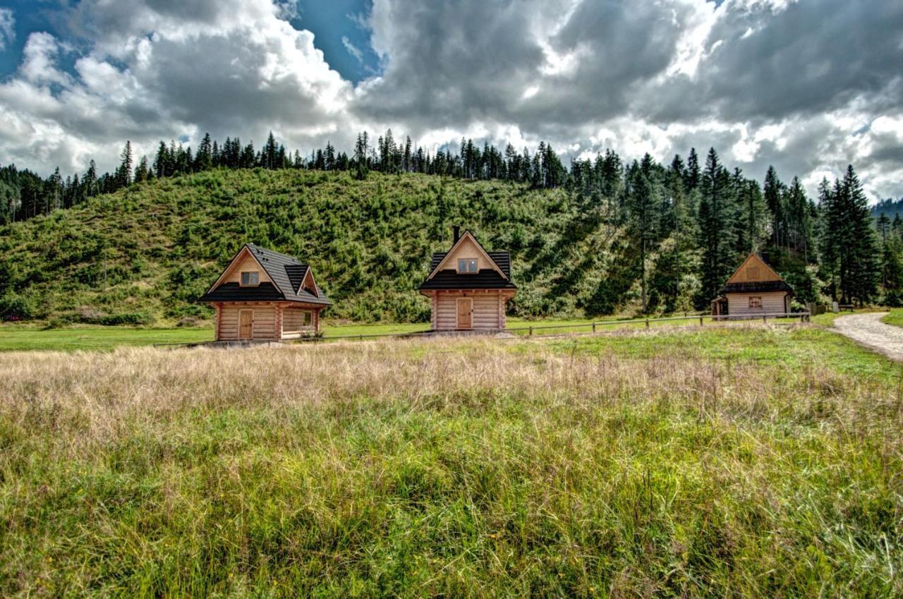 Jedroskowe Chatki Witów 外观 照片